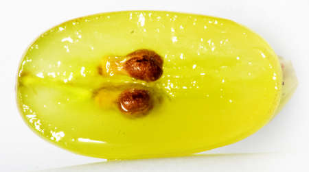 Translucent slice of green grape fruit, macro isolated on white の写真素材