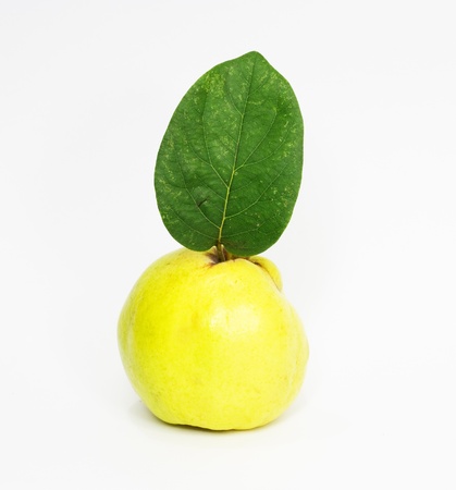object on white - food quince close up 
の写真素材