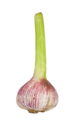 Garlic bulb isolated over white backgroundの写真素材