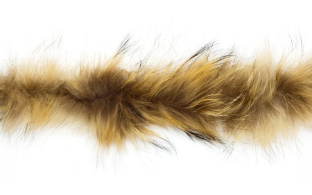 fur on white background