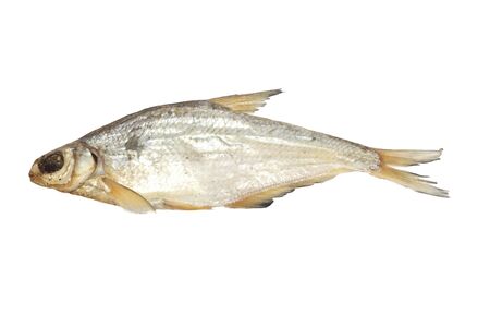 bream isolated on white background の写真素材