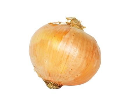 Single onion bulb isolated on white background の写真素材