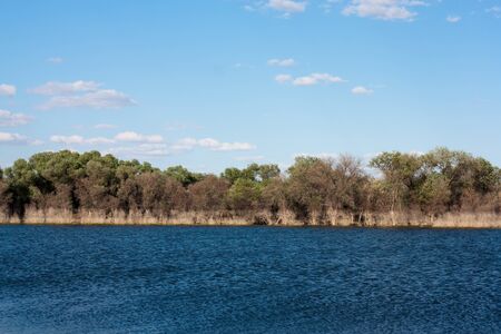 Riverside grass blowing on Syr Darya river, Kazakhstan 