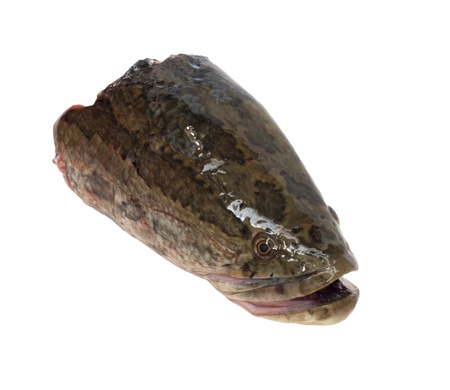 head snakehead