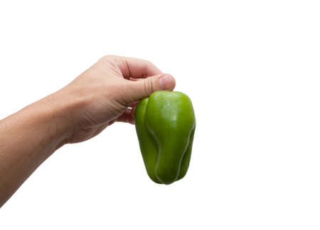 green bell pepper in handの写真素材