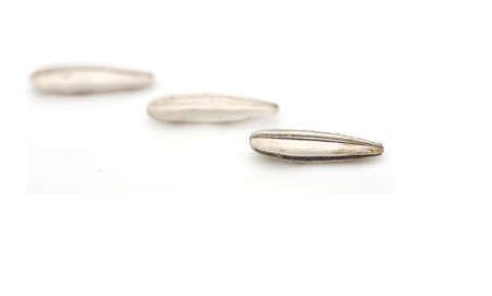 macro sunflowerの写真素材