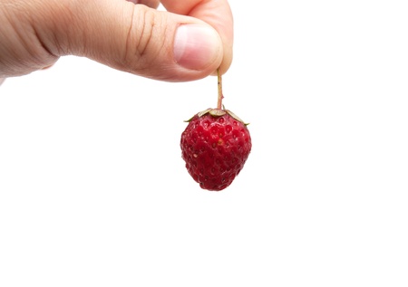 strawberry in her hand on a white backgroundの写真素材