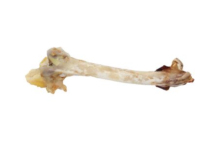bones of the hen 