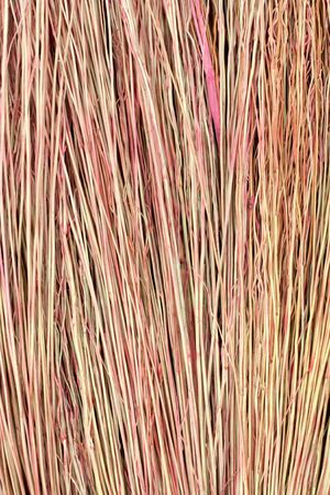 Grunge texture of dry grass の写真素材