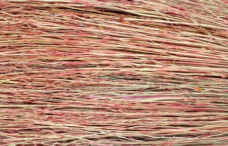 Grunge texture of dry grass 