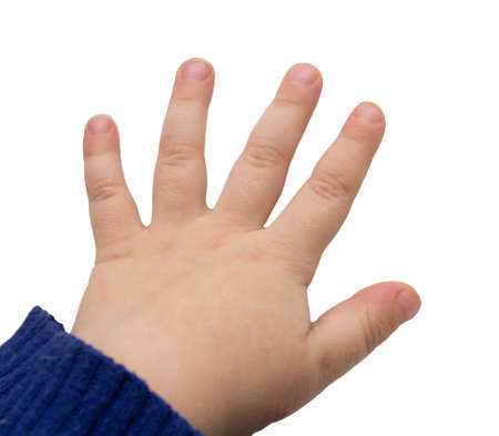 hand of the baby on a white background