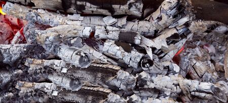 coal and wood ash from burning in an oven 
