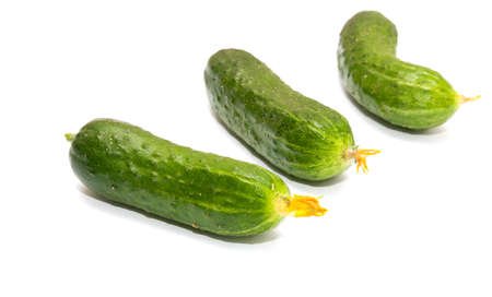 Fresh cucumbers on a white backgroundの写真素材