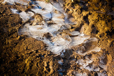 Ice on the earth as a backgroundの写真素材