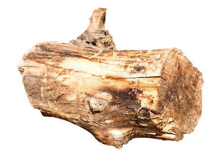 log on white, shallow depth of field の写真素材
