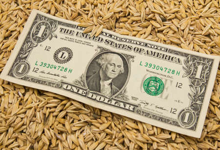 dollars in oatsの写真素材