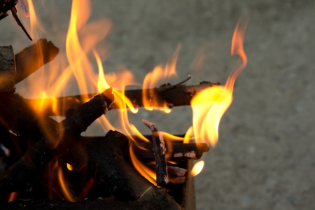 Fire, burning branches of a tree on a barbecueの写真素材