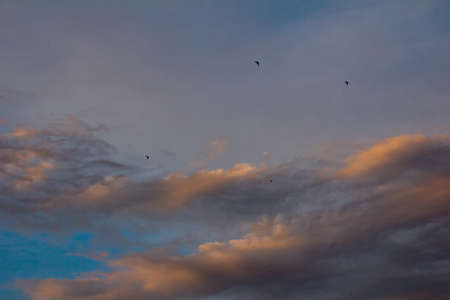 beautiful sky at sunset as a backdropの写真素材