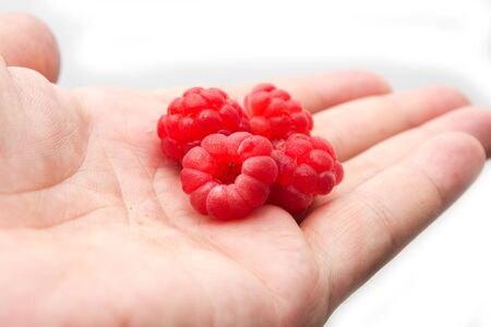 raspberries in his hand on a white background