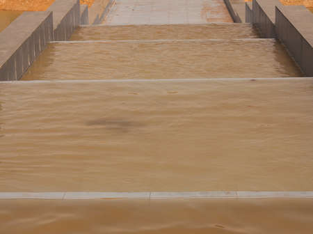 yellow water as a backdropの写真素材