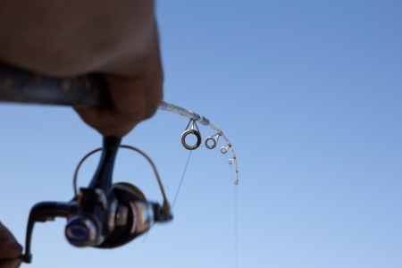 fisherman catches a fish on a spinningの写真素材