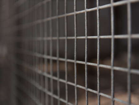 metal grid in the backgroundの写真素材