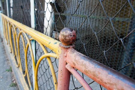 fence in the backgrounddの写真素材