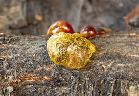 resin as a background
