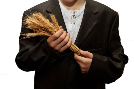 wheat in the hands of men on a white backgroundの写真素材