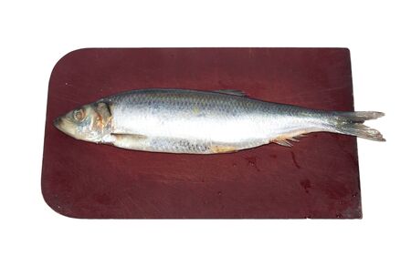 Herring on the board on a white backgroundの写真素材