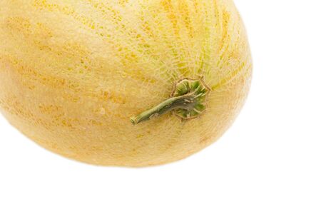 ripe melon on a white backgroundの写真素材