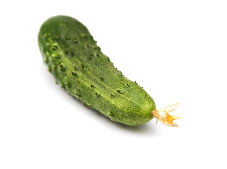cucumber on white backgroundの写真素材