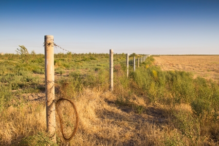barbed wire in the gardenの写真素材