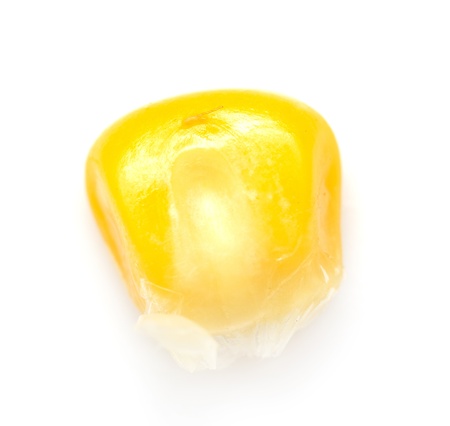 corn on a white background. macroの写真素材