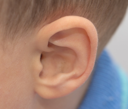 child's ear. macroの写真素材