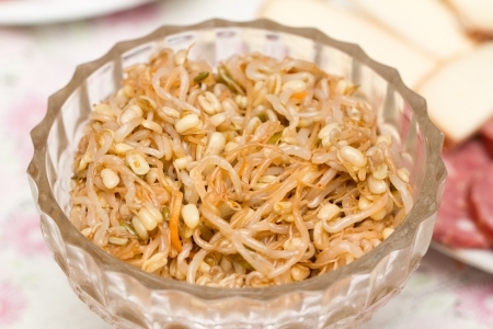 salad of sprouted wheatの写真素材