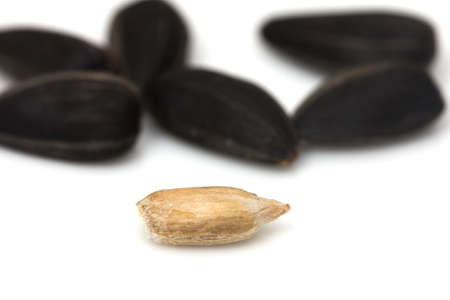 black seeds on a white background. macro