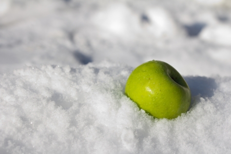 green apple in the snowの写真素材