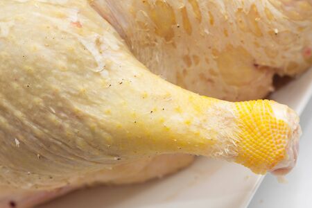 plucked duckの写真素材