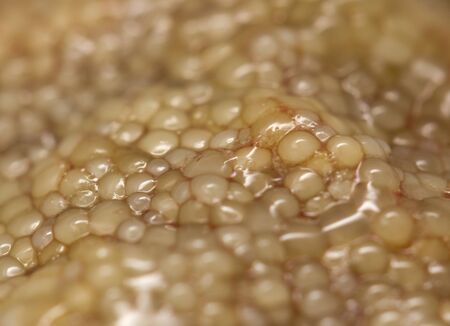 background caviar fish. macroの写真素材