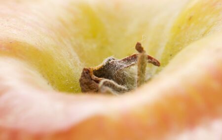 background of the apple. macroの写真素材