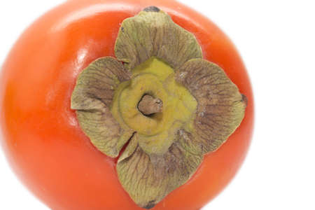 persimmon on a white background