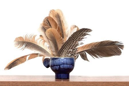 feathers isolated on white backgroundの写真素材