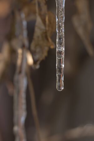 a drop of ice in nature. macro