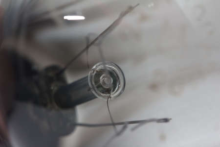 burned bulb. macroの写真素材