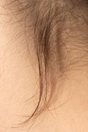 background of the hairの写真素材