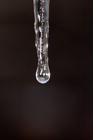 Thawing iciclesの写真素材