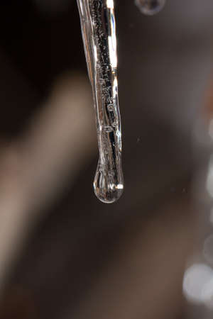 Thawing iciclesの写真素材