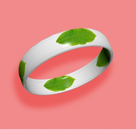 ring from the tree leavesの写真素材