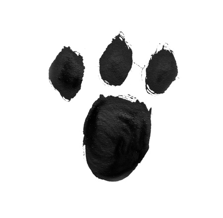 signs painted with gouache paintの写真素材